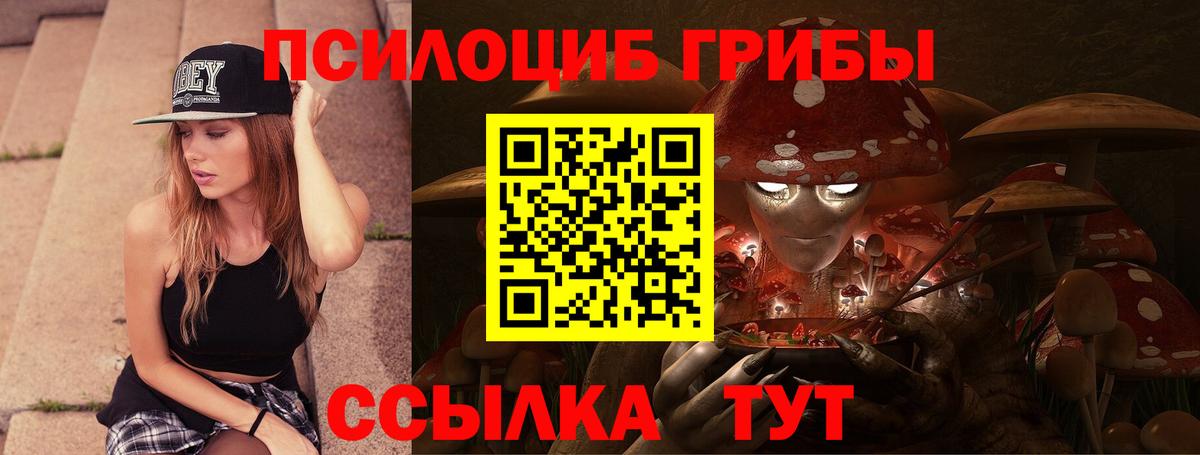 Чернушка  Псилоцибиновые грибы Cubensis  Вход с VPN  Псилоцибиновые грибы прущие грибы 